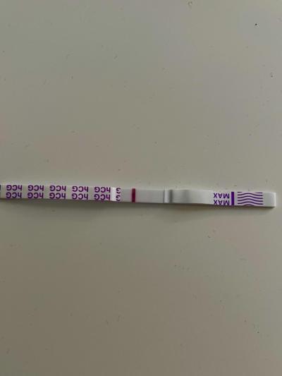 Testování a těhotenský test | Snažilky 2025