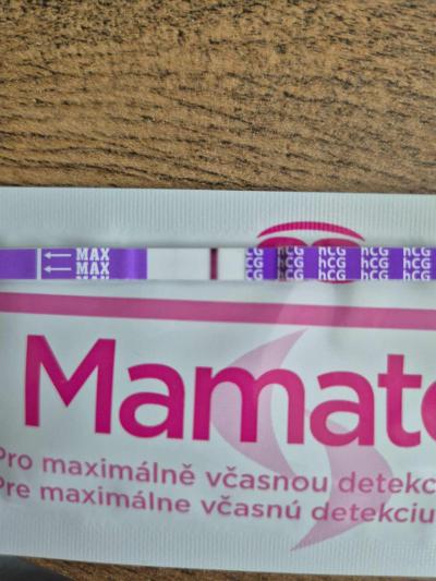 Testování a těhotenský test | Snažilky 2025