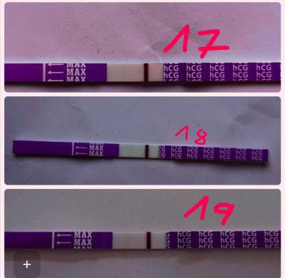 Testování a těhotenský test | Těhotenské testy 13 DPO