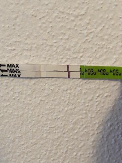 Testování a těhotenský test | Pepino test dušík