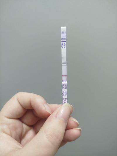 Testování a těhotenský test | Spolehlivost testu z odpolední moči (20 dní po styku)