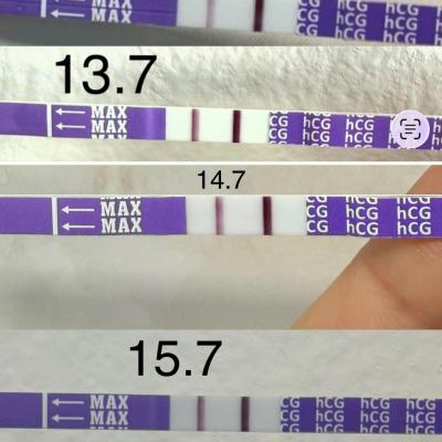 Testování a těhotenský test | Nesílící ani neslábnoucí tt, dopadlo to u vás dobře?