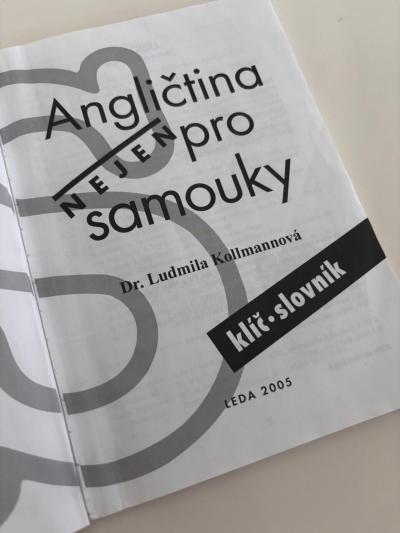 Angličtina pro samouky