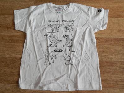 Dětské tričko s dinosaury