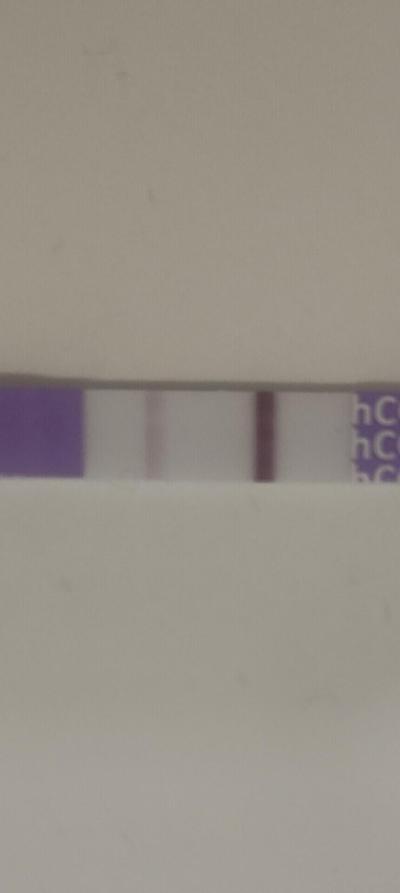 Testování a těhotenský test | Jak moc věřit Mamatestu?