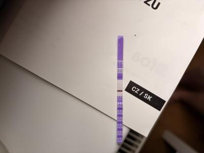 Testování a těhotenský test | 11 DPO test ráno