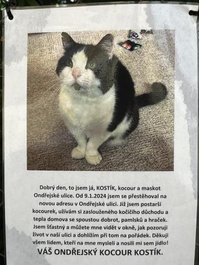 Jaké bydlení - stavíme, bydlíme | Výhody a nevýhody vašeho bydlení