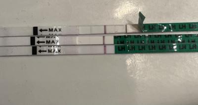 Testování a těhotenský test | Mohla probehnout ovu?