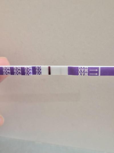 Centra asistované reprodukce | IVF - ET/KET 2026