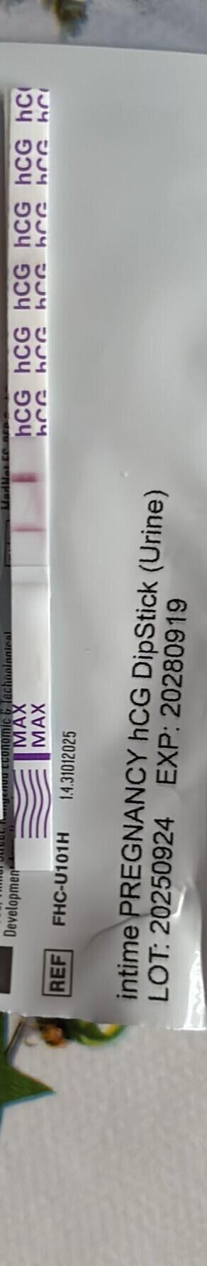 Testování a těhotenský test | Budu babička?