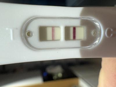 Centra asistované reprodukce | IVF - ET/KET 2026