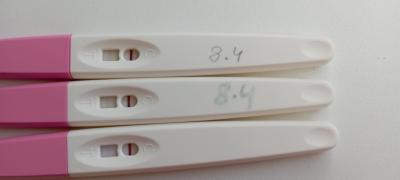 Testování a těhotenský test | Test těhotenský názor