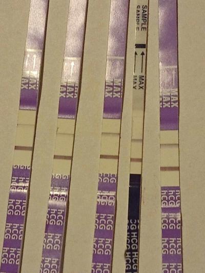 Testování a těhotenský test | Biochemické nebo slibné?