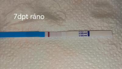 Testování a těhotenský test | Ukázal se někomu duch na testu až 10. den po KET/ET?