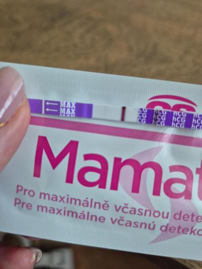 Testování a těhotenský test | Snažilky 2025