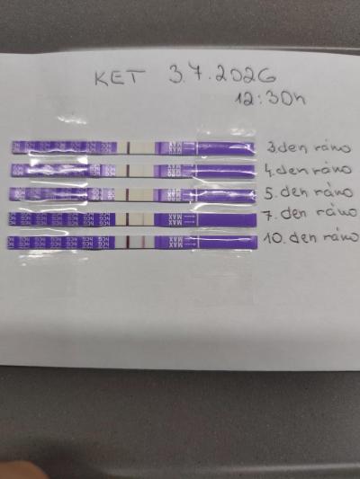 Centra asistované reprodukce | IVF - ET/KET 2026