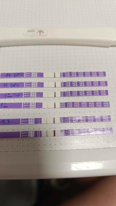 Testování a těhotenský test | Livsane vs mamatest
