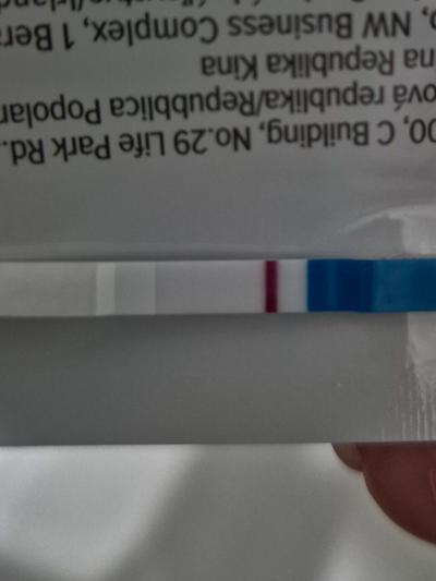 Testování a těhotenský test | Snažilky 2025