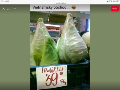 Pro pobavení | Znáte dobrý vtip? Sem s ním!