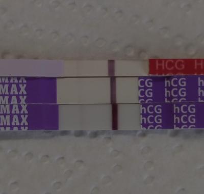 Centra asistované reprodukce | IVF - ET/KET 2026