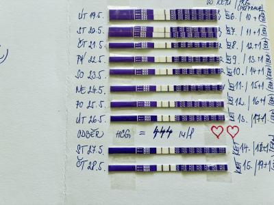 Centra asistované reprodukce | IVF/KET 2025