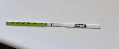 Testování a těhotenský test | Duch nebo odpařovací ryska?