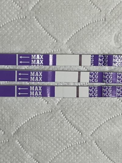 Snažení | Snažení 2026