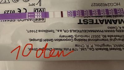 Centra asistované reprodukce | IVF - ET/KET 2026