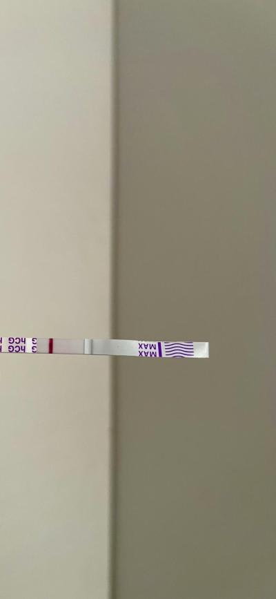 Testování a těhotenský test | Snažilky 2025