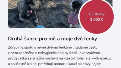Dobré skutky | Bydlení a veterina: Finanční nouze