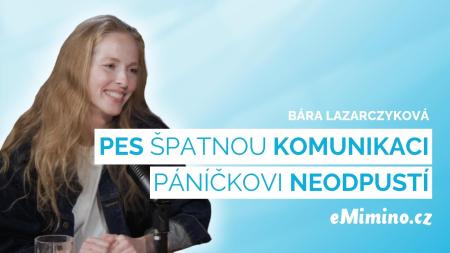 Pamlsky jsou největším mýtem ve výchově psa. Používáme je jako nástroj k vydírání